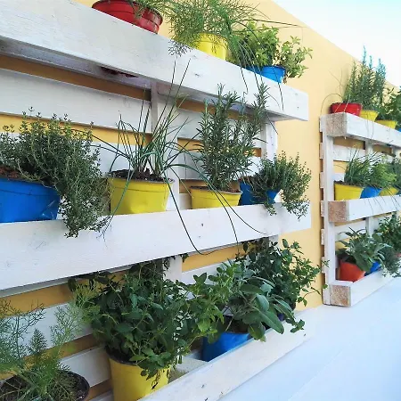 Micucco Bed and Breakfast 3*